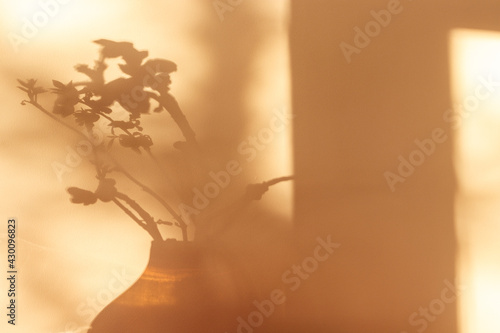 Shadows of plants. Horse chestnut tree buds on sunny April day. Growing leaves in a glass vase.