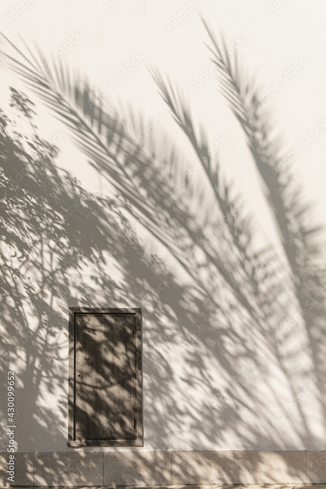 Tropical palm tree sunlight shadow on wall. Aesthetic floral silhouette on neutral beige background Tropical palm tree sunlight shadow on wall. Aesthetic floral silhouette on neutral beige background