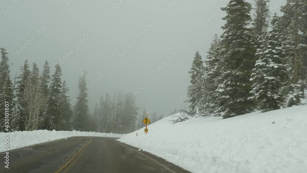 Snow and fog in wintry forest, driving auto, road trip in winter Utah USA. Coniferous pine trees, mystery view thru car windshield. Misty Bryce Canyon woodland. Calm atmosphere, milky haze in wood. Snow and fog in wintry forest, driving auto, road trip in winter Utah USA. Coniferous pine trees, mystery view thru car windshield. Misty Bryce Canyon woodland. Calm atmosphere, milky haze in wood.