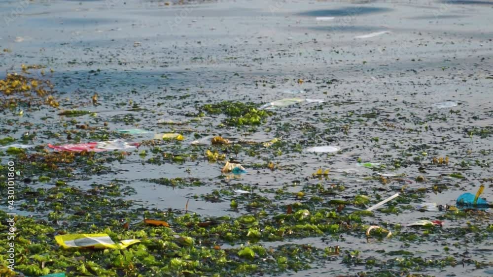 Garbage Floating Among Aquatic Plants In The Beach At Son Hai In Ninh Thuan, Vietnam. - static Garbage Floating Among Aquatic Plants In The Beach At Son Hai In Ninh Thuan, Vietnam. - static