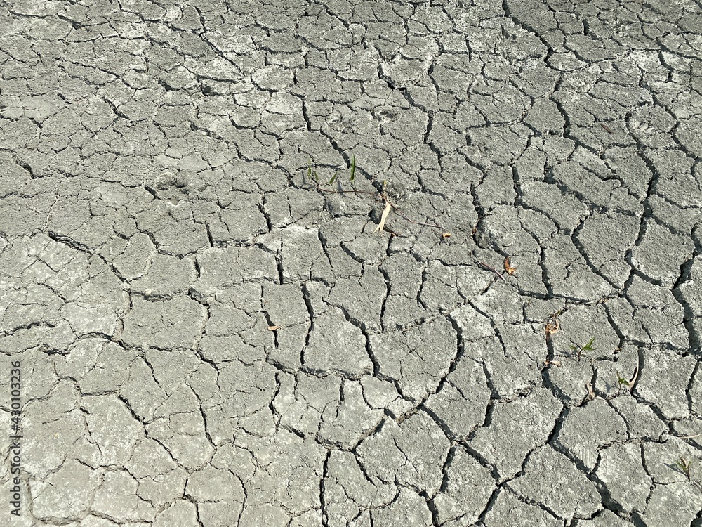 Mudcracks (also known as mud cracks, desiccation cracks or cracked mud) are sedimentary structures formed as muddy sediment dries and contracts. Crack formation also occurs in clay-bearing soils Mudcracks (also known as mud cracks, desiccation cracks or cracked mud) are sedimentary structures formed as muddy sediment dries and contracts. Crack formation also occurs in clay-bearing soils