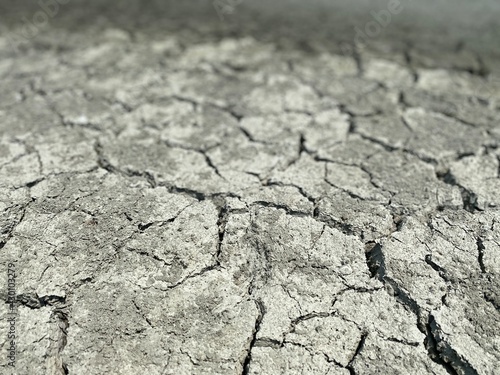Mudcracks (also known as mud cracks, desiccation cracks or cracked mud) are sedimentary structures formed as muddy sediment dries and contracts. Crack formation also occurs in clay-bearing soils 