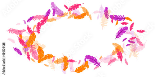 Orange purple pink red feather floating background