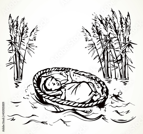 Little Moses in a basket. Vector drawing