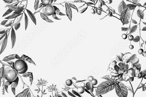 Fotografía Rose frame vintage floral illustration and fruits on white background