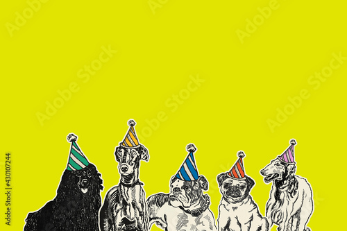 Photography Green border background dogs in birthday party