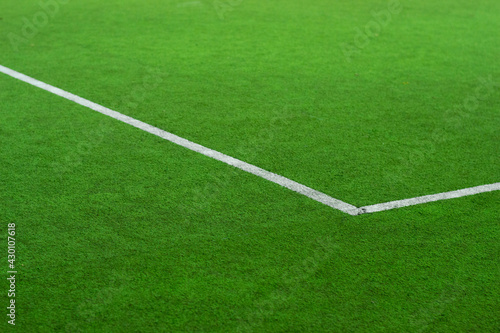 Artificial grass football field marking © Yuliya