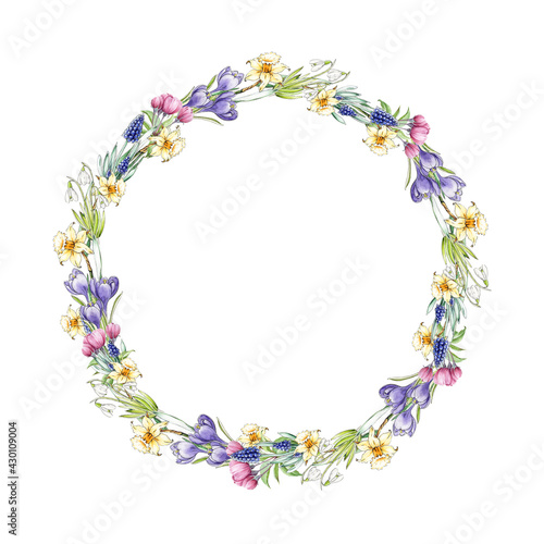 Spring flower wreath. Watercolor illustration. Spring tender garden flowers decorative round frame. Daffodil, crocus, narcissus elegant spring wreath. Floral decor on white background
