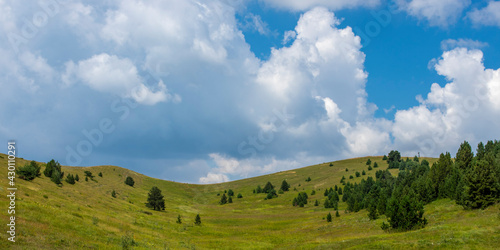 Fototapeta Naklejka Na Ścianę i Meble -  Alpages avec un ciel nuageux en fond