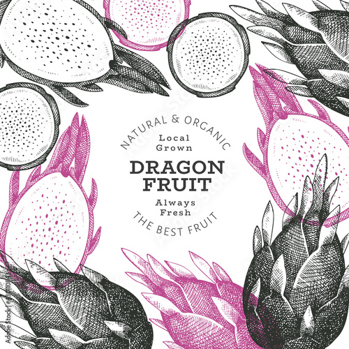 Hand drawn dragon fruit design template. Organic fresh food vector illustration. Retro pitaya fruit banner.