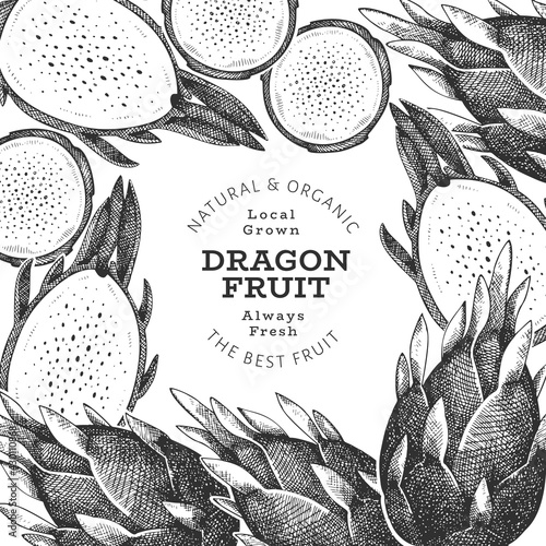 Hand drawn dragon fruit design template. Organic fresh food vector illustration. Retro pitaya fruit banner.