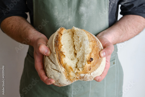 Crispy fresh bread in the hands of a man. Rustic organic wheat bread. Gluten free. Home baking bread closeup. Delicious natural foods, healthy food baking. Small business and slow food concept.