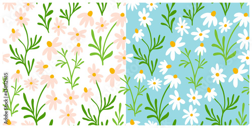 Chamomile and daisy seamless pattern. Wildflower print design with hand drawn flowers on dark background. Simple field floral pattern for packaging, fabric design. Blossom ornament.