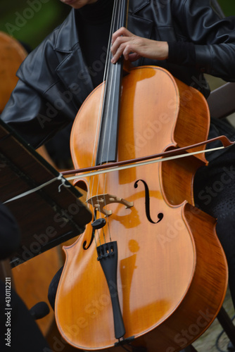 cello during the concert, with the hands of the musician and a bow 