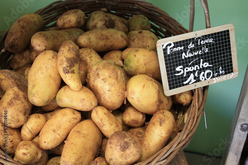 Pommes de terre photo