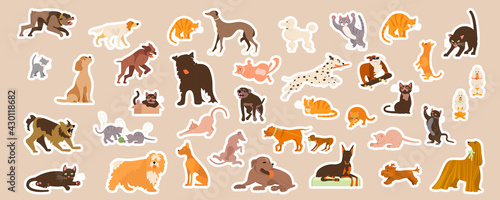 Domestic cats and dogs cute stickers set.