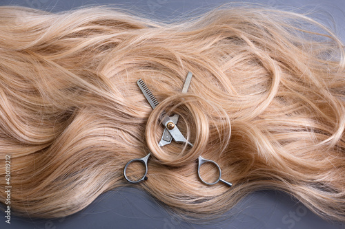 Hairdresser professional thinning scissors or shears with blonde curly hair on grey background. Beauty salon. Hair extensions and materials, hairdressing tools, hair care, new haircut concept.
