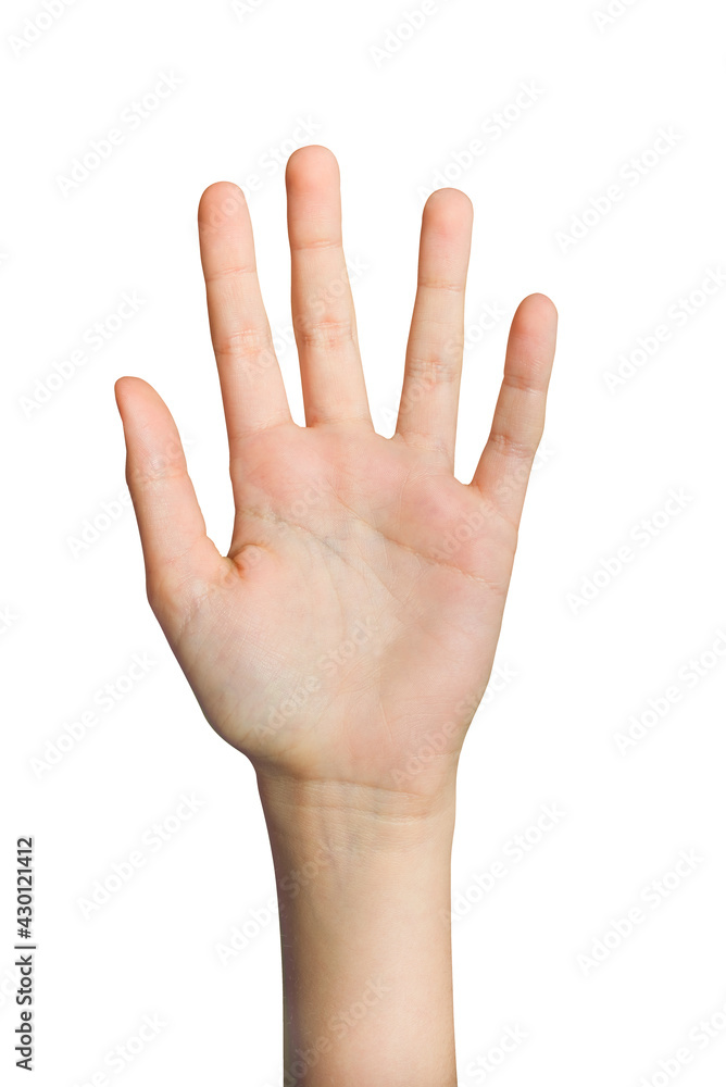 Hand up isolated on white background Hand up isolated on white background