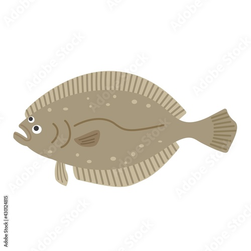 ヒラメのイラスト