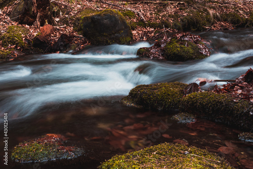 Long exposure photo of the mountain creek with rocks and leaves