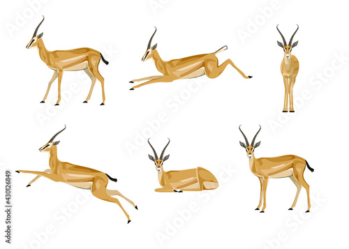 Set of antelopes on a white background. A collection of animals in different poses. Gazelle