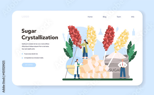 Sugar production industry web banner or landing page. Saccharose
