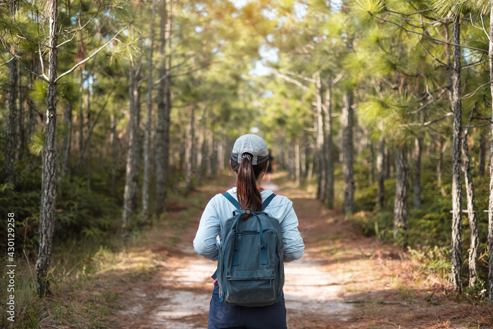 Young woman with backpack and cap hiking in mountains during summer season, solo traveler walking in the forest. Travel, adventure and journey concept Young woman with backpack and cap hiking in mountains during summer season, solo traveler walking in the forest. Travel, adventure and journey concept