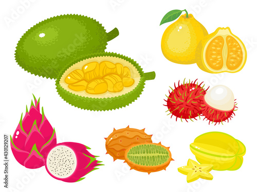 Vector set of cartoon bright exotic fruits isolated on white.