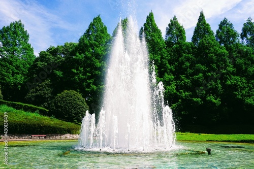 相模原公園の新緑のメタセコイア並木と噴水