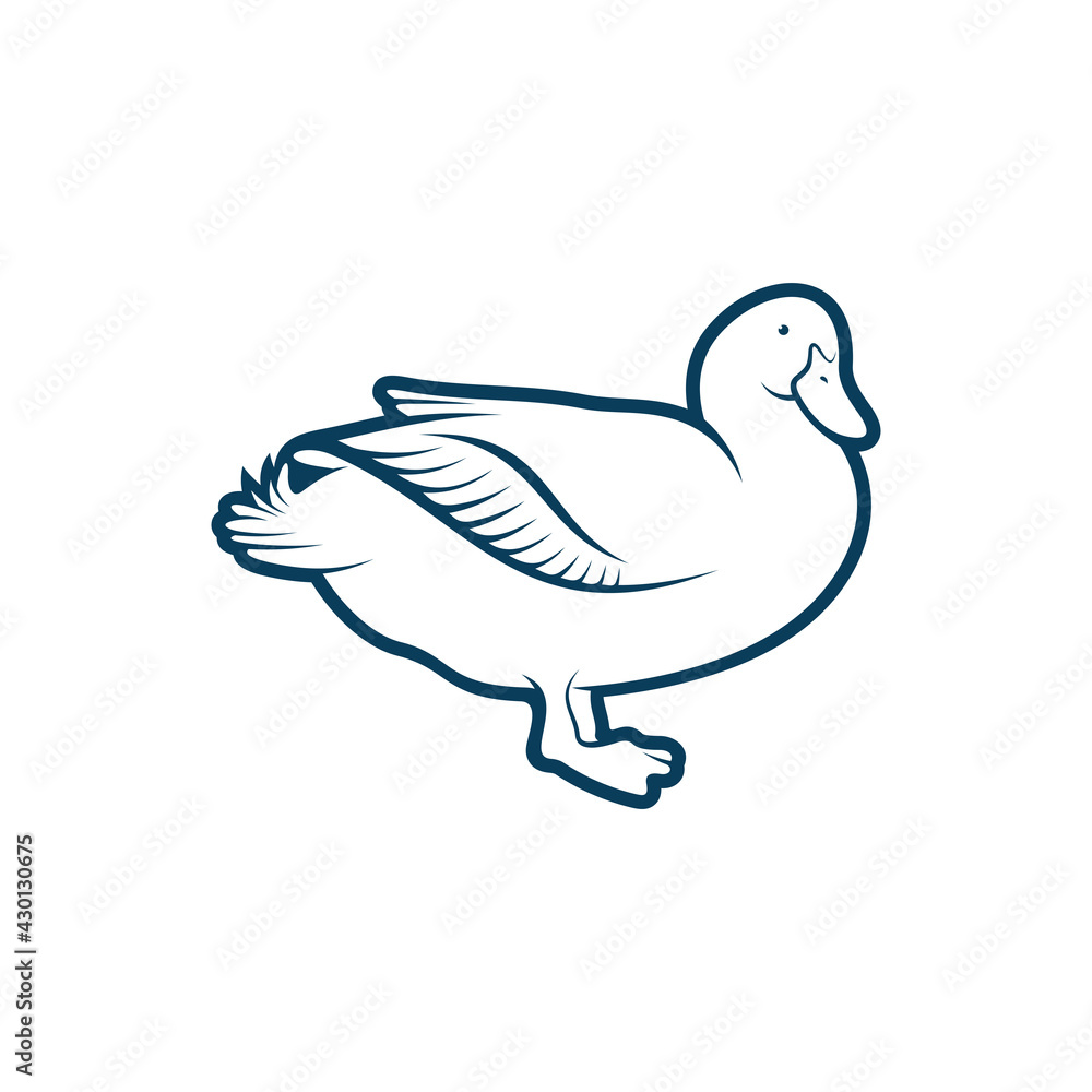 Duck design vector illustration, Creative Duck logo design concept template, symbols icons