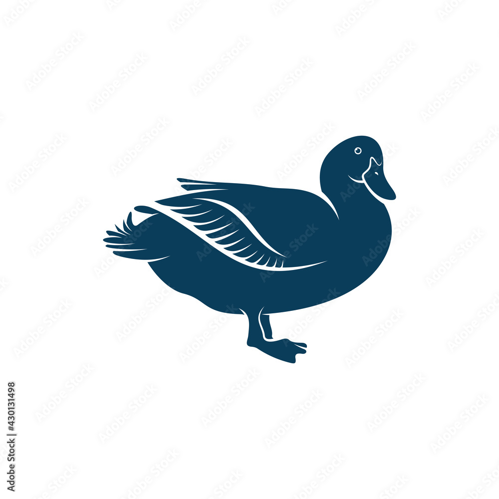 Duck design vector illustration, Creative Duck logo design concept template, symbols icons