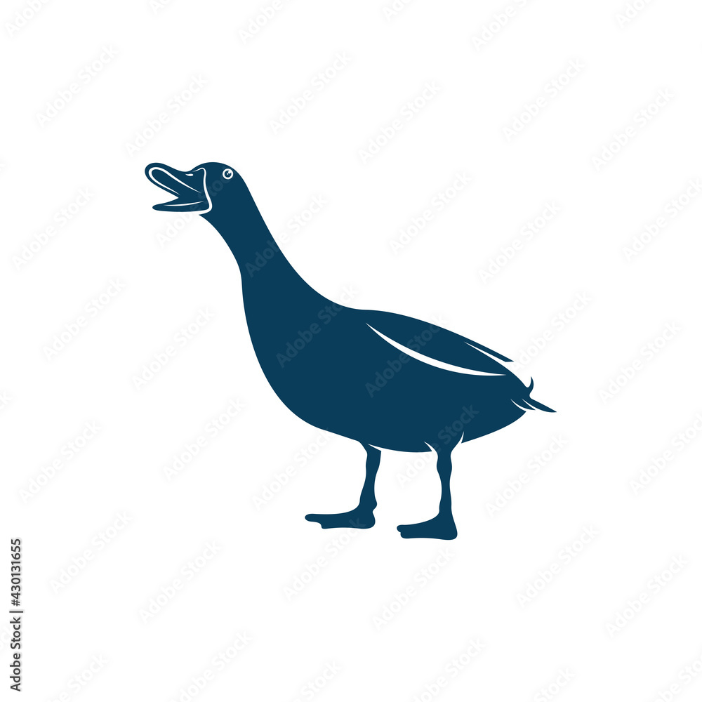 Obraz premium Duck design vector illustration, Creative Duck logo design concept template, symbols icons