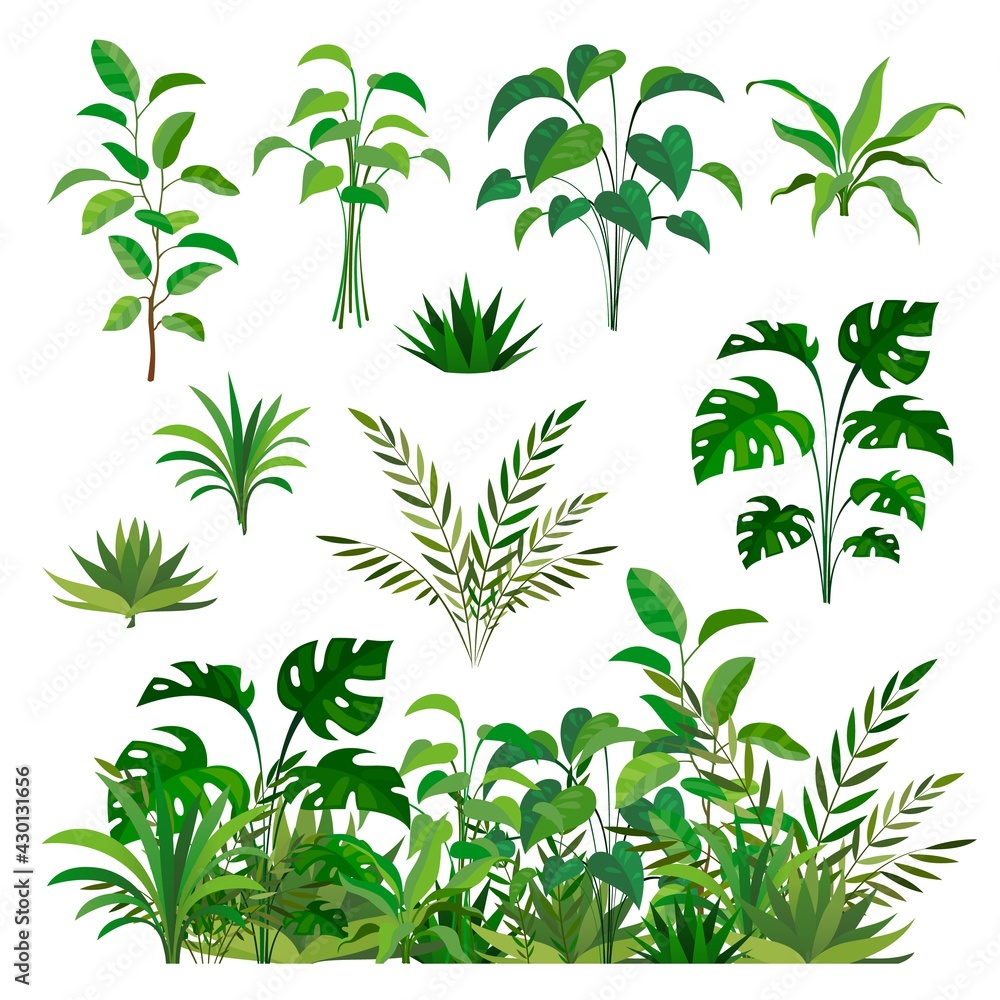 Herbal green elements. Tropical jungle leaves and brunches collection, paradise summer flora, rainforest isolated decor elements and clip art, exotic plants decorative border vector set
