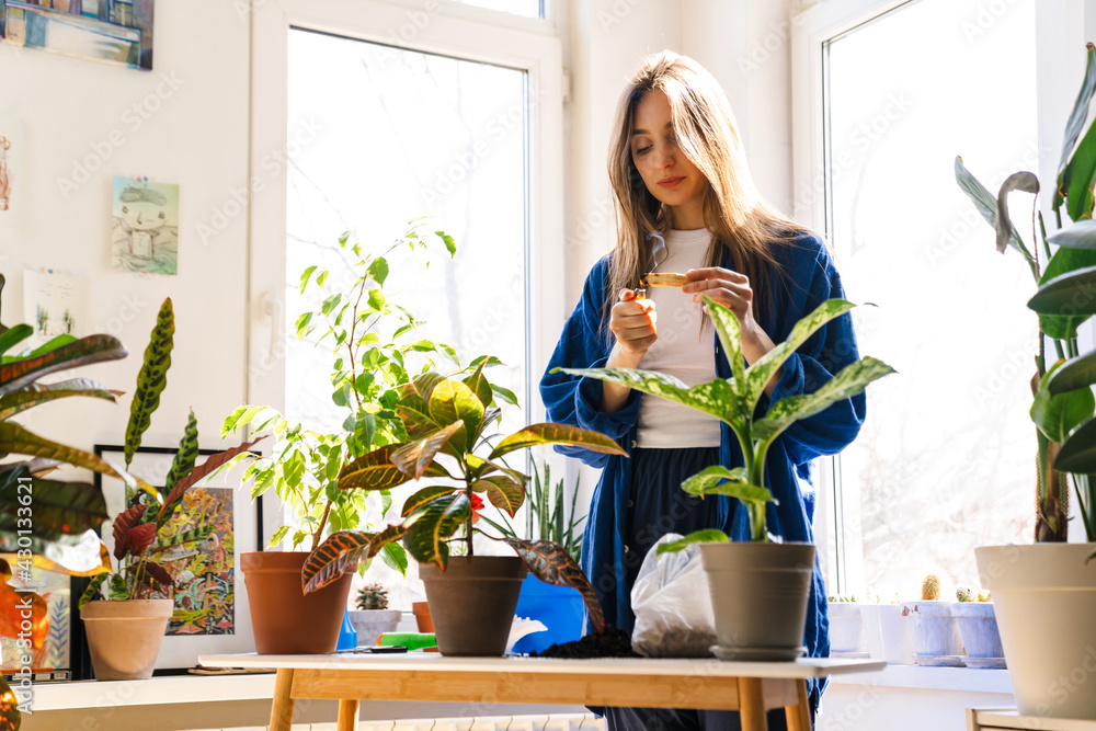 Young woman florist taking care of pot plants Young woman florist taking care of pot plants