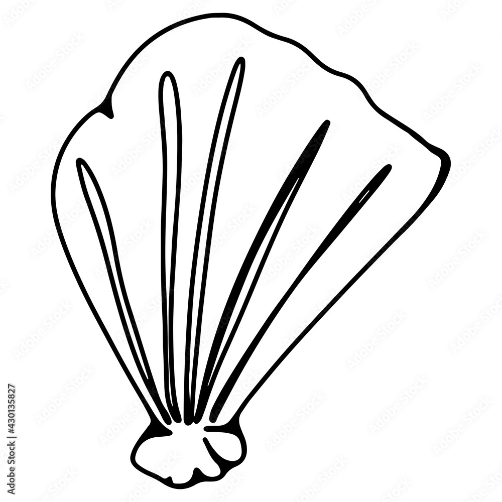 Seashell clam linear doodle contour hand drawing isolate on white background. Monochrome digital art graphics. Print for tattoo, coloring book, children's page, menu, packaging, brand Seashell clam linear doodle contour hand drawing isolate on white background. Monochrome digital art graphics. Print for tattoo, coloring book, children's page, menu, packaging, brand