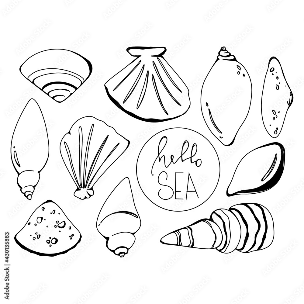 Seashell clam set with letterink sea hello linear doodle outline hand  drawing isolate on white background. Monochrome digital art graphics. Print  for tattoo, coloring book, children's page, menu Stock Illustration | Adobe