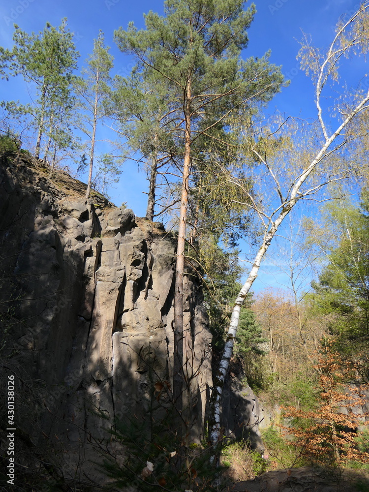 Basaltfelsen in der Eifel Basaltfelsen in der Eifel