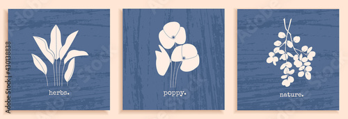 Set of minimal posters with plants, flowers, leaves, and textured background. Monochrome vector illustration with abstract nature elements. Great design for social media, postcards, and print.