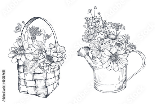 Vector floral compositions with black and white hand drawn herbs and wildflowers