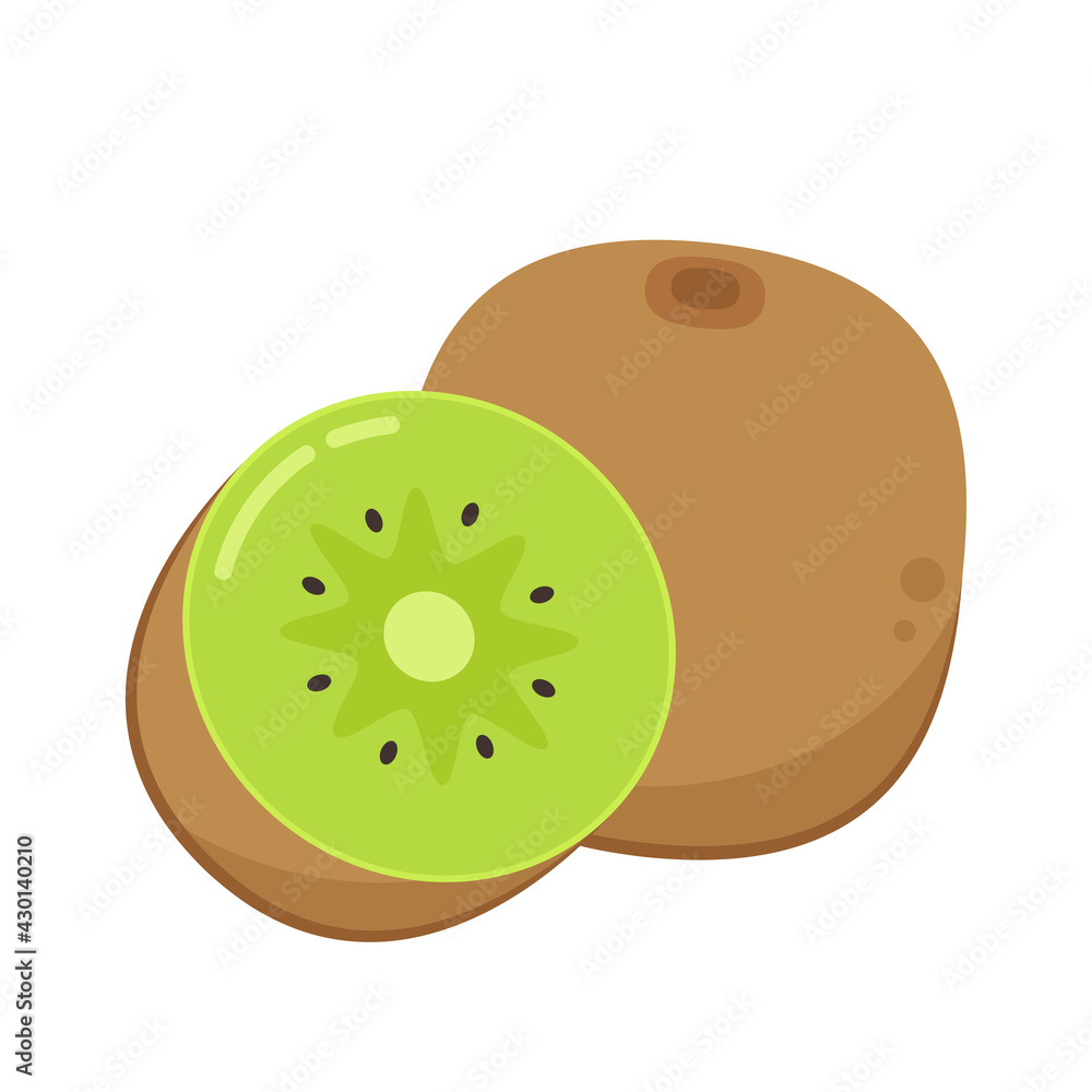 Fototapeta premium Kiwi on white background. Kiwi vector. Kiwi logo design.
