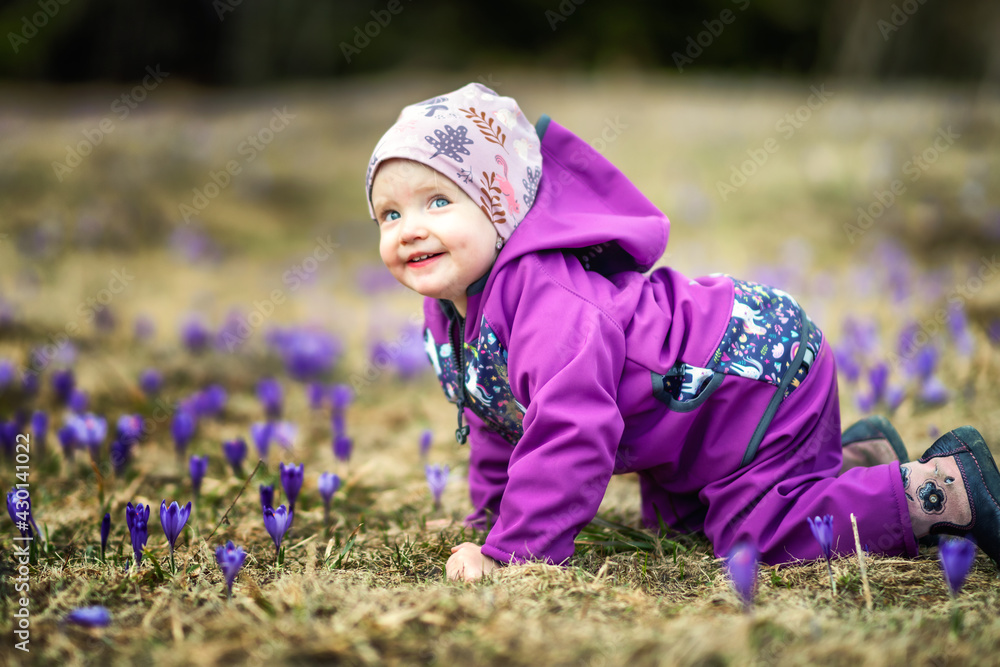 Toddler on meadow full of violet flowers Toddler on meadow full of violet flowers
