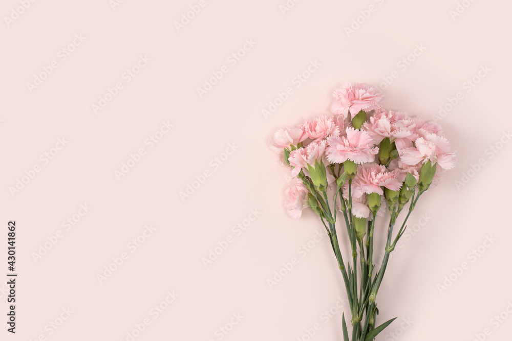 Design concept of Mother's day holiday greeting with carnation bouquet on pink table background Design concept of Mother's day holiday greeting with carnation bouquet on pink table background