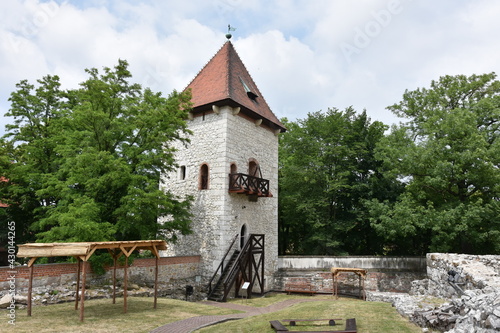 Zamek Żupny w Wieliczce, zamki w Polsce, 