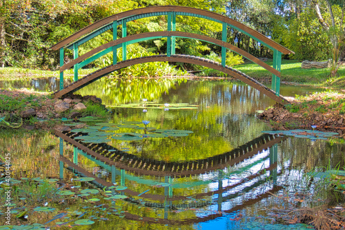 wood bridge