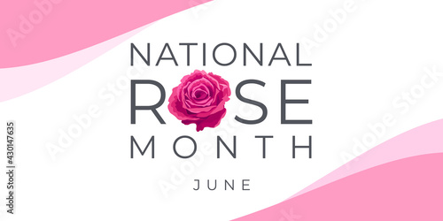 National rose month. Vector banner, illustration for social media, card, poster. Text and rose on a white, pink background.