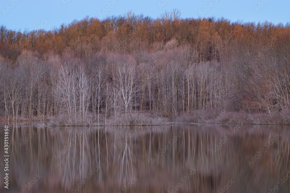 Spring landscape at dawn of the shoreline of Twin Lakes with mirrored reflections in calm water, Michigan, USA Spring landscape at dawn of the shoreline of Twin Lakes with mirrored reflections in calm water, Michigan, USA