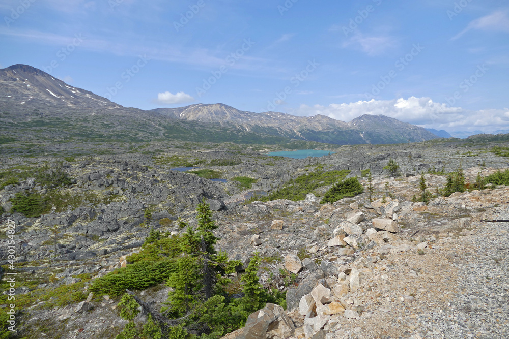 White Pass alpine landscape on borders between Alaska, United States and British Columbia, Canada