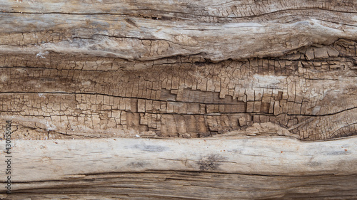 Wood texture. The background is made of an old dilapidated wooden board.