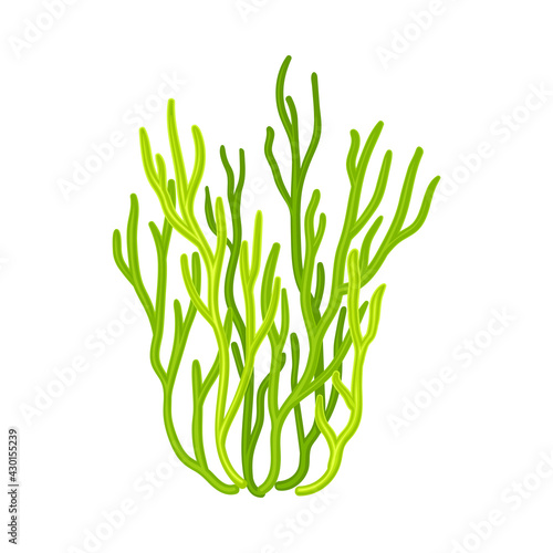 Green Coral as Marine Invertebrate from Ocean Bottom Vector Illustration