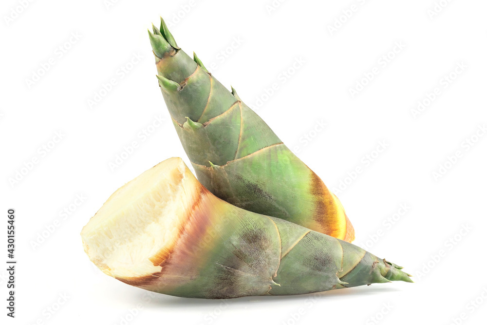 Fototapeta premium Bamboo shoots isolated on white background